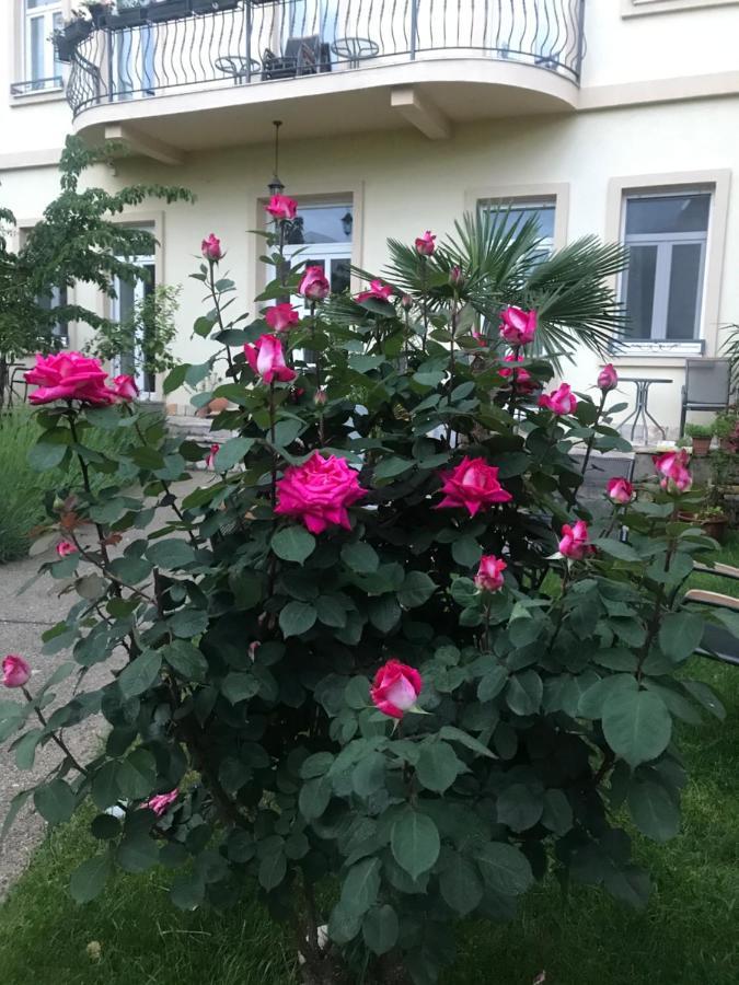 מוסטר Aurelia Rooms מראה חיצוני תמונה