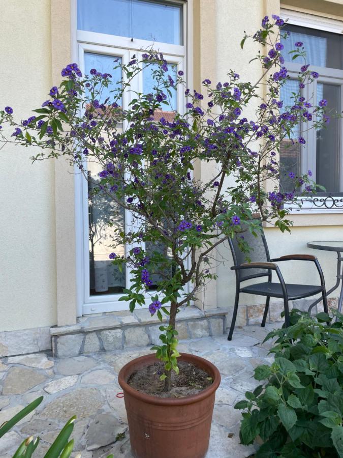 מוסטר Aurelia Rooms מראה חיצוני תמונה